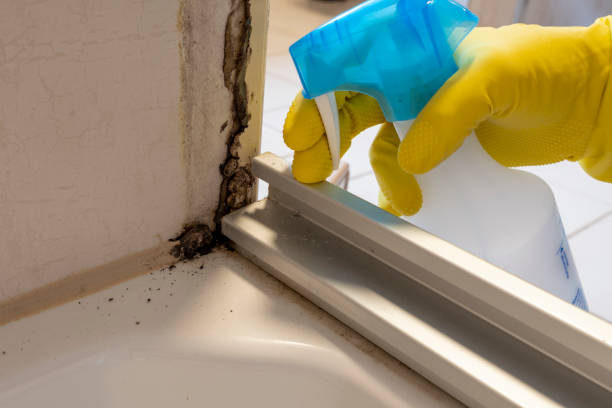 Best Crawl Space Mold Removal  in Bellville, OH
